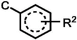 Figure BDA0003101608300000134