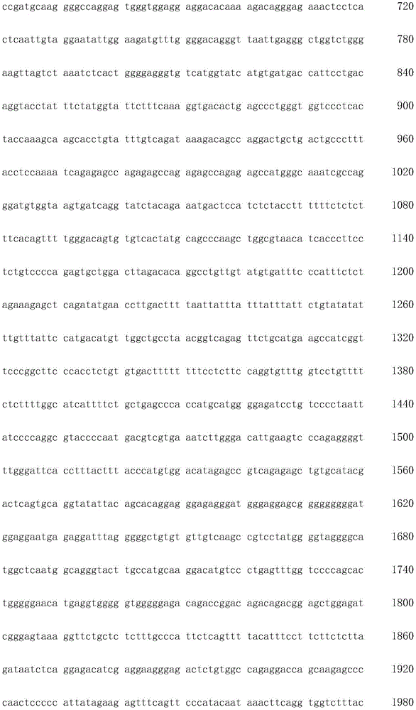 Figure IDA0003936212790000021