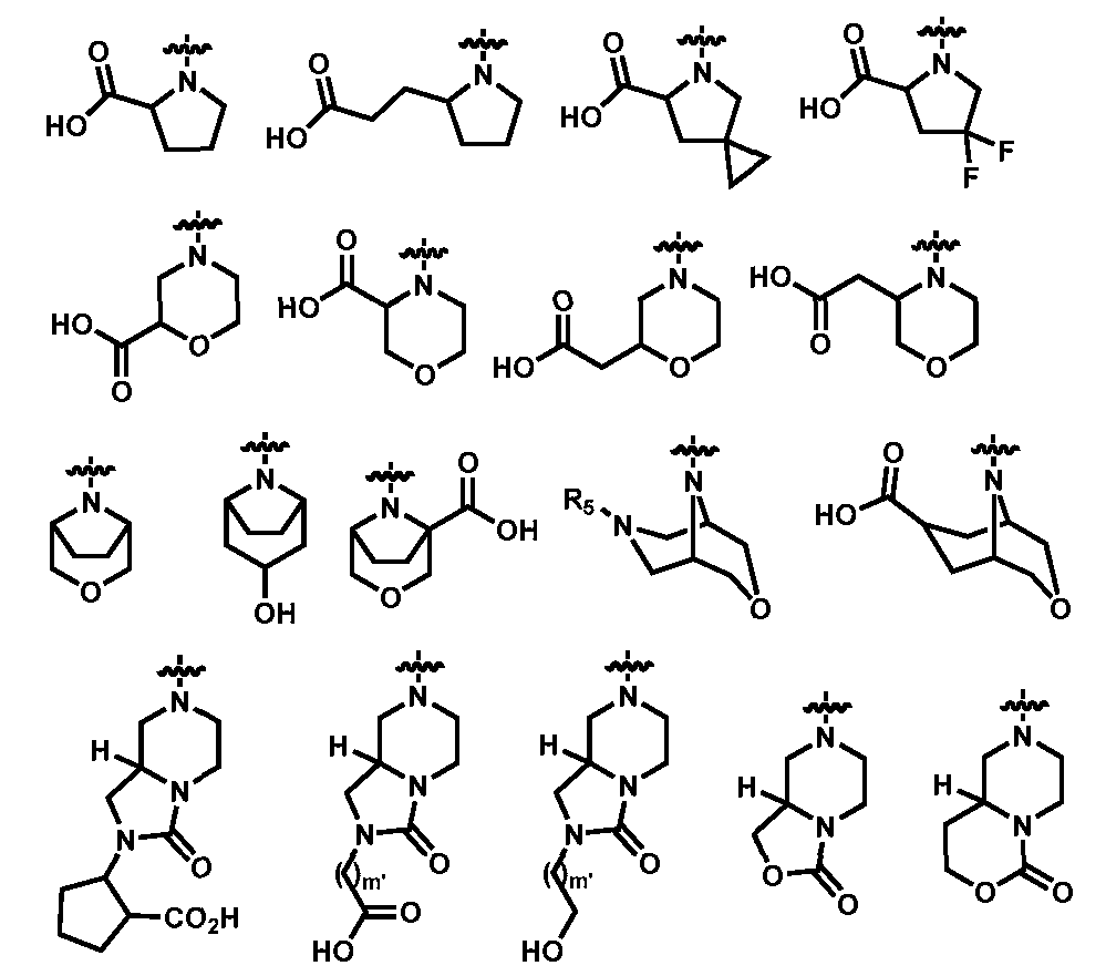 Figure imgf000068_0002