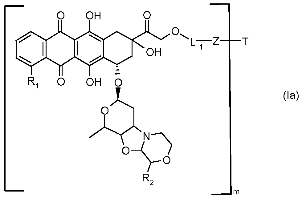Figure imgf000030_0002