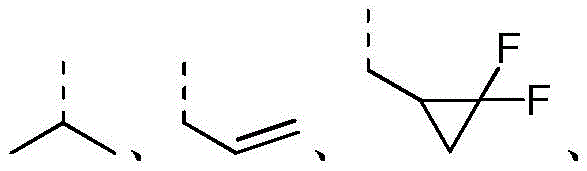 Figure GDA0002852195220000051