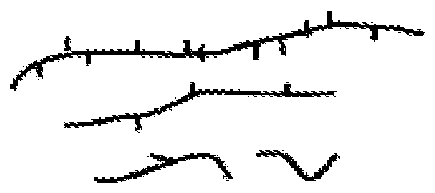 Figure imgf000005_0001