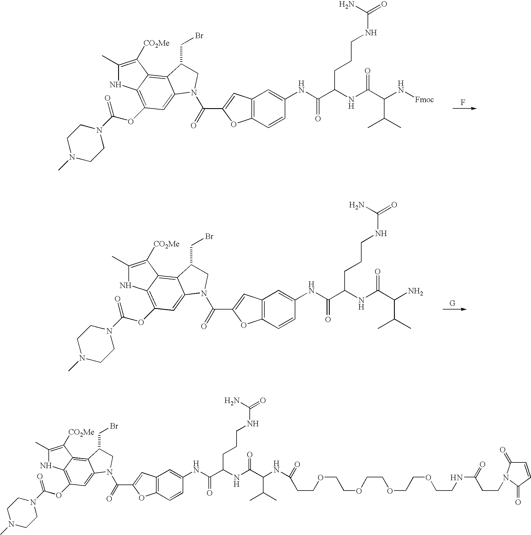 Figure US20080279868A1-20081113-C00100