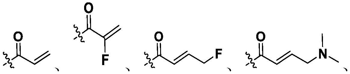 Figure PCTCN2021099875-appb-000044