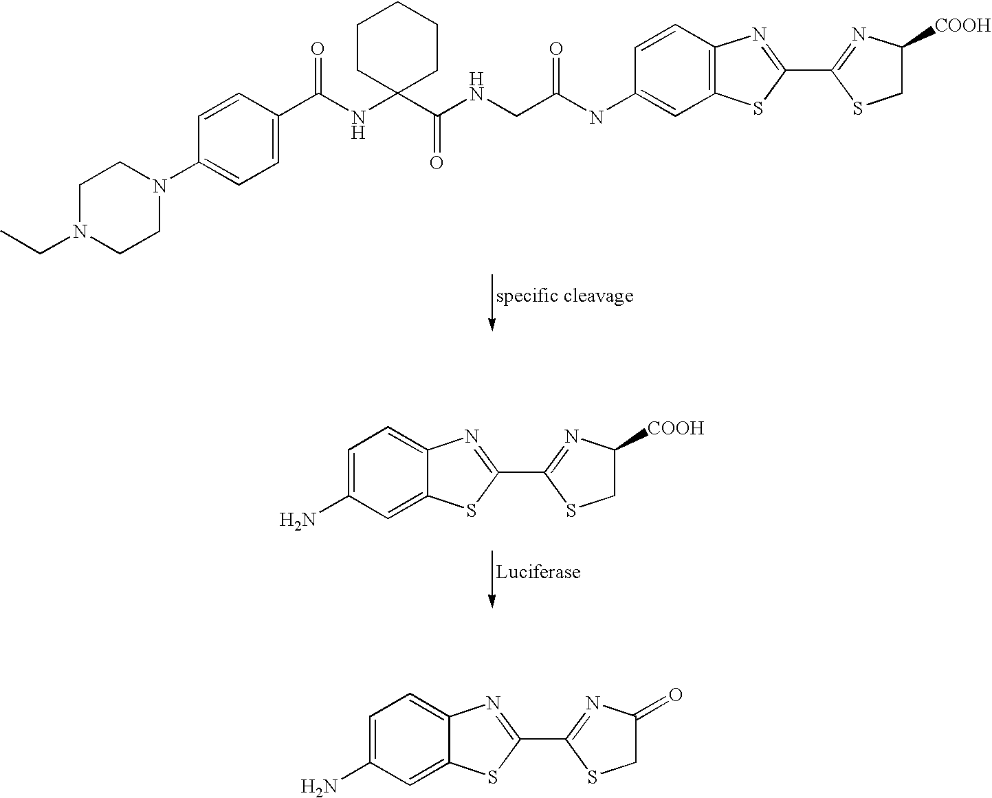 Figure US20100189658A1-20100729-C00042