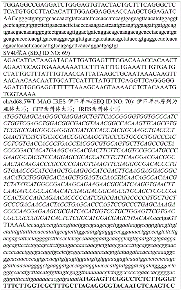 Figure BDA0002872168850001811