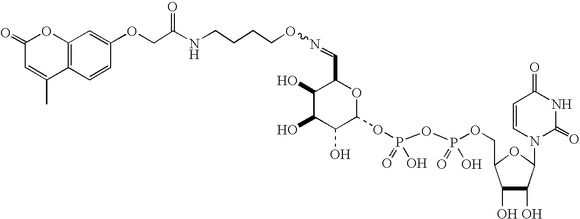 Figure US20080108557A1-20080508-C00118