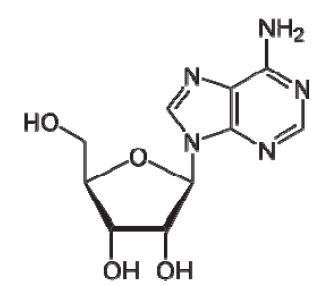 Figure 112009081259918-pat00001
