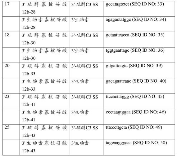 Figure DEST_PATH_IMAGE006