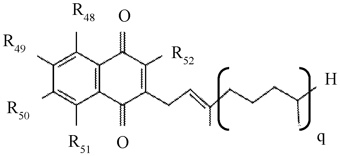 Figure imgf000019_0001