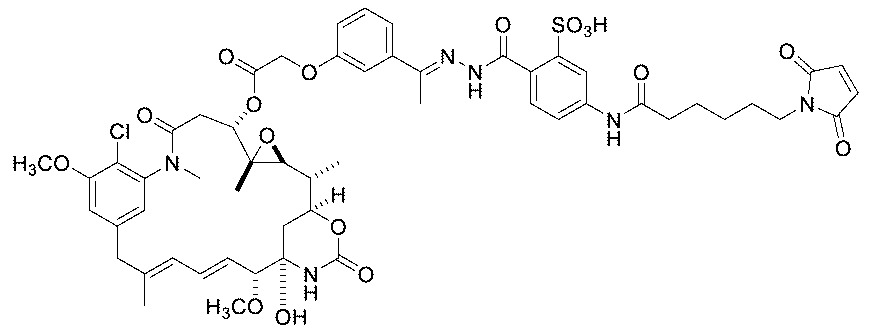 Figure 0007442821000138
