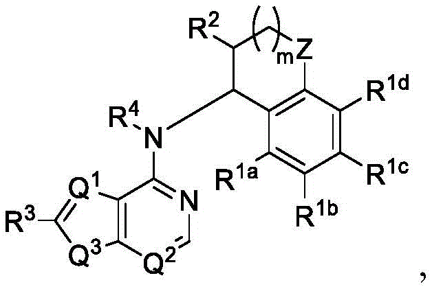 Figure FDA0003869903400000011