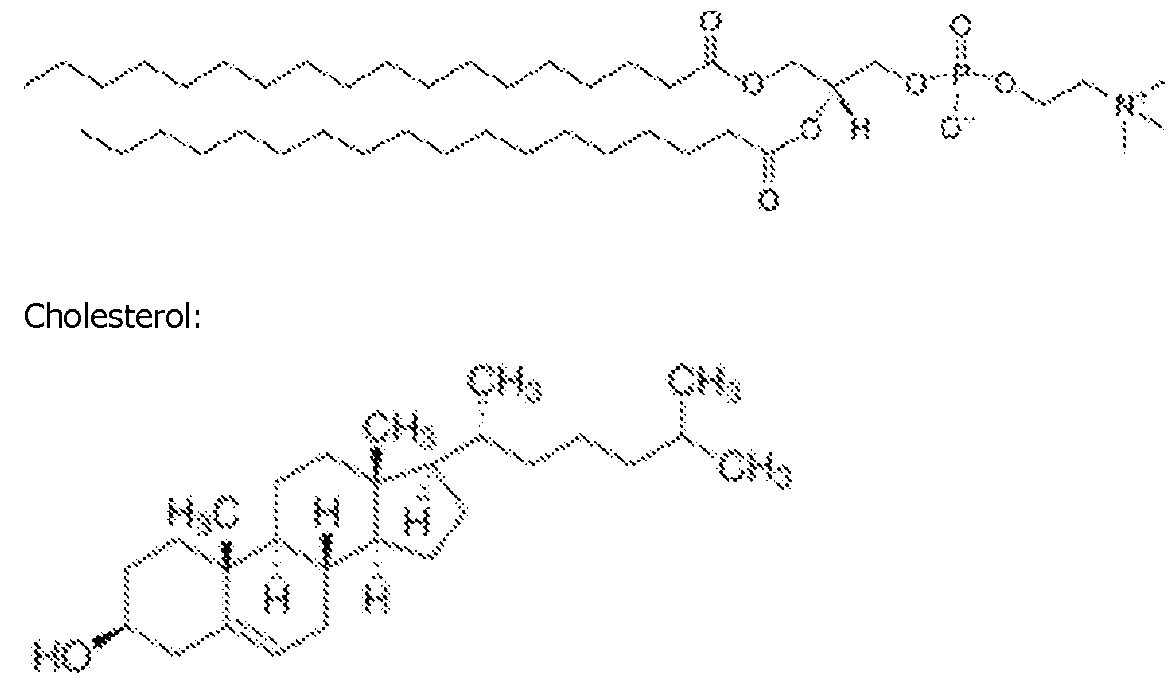 Figure imgf000093_0004