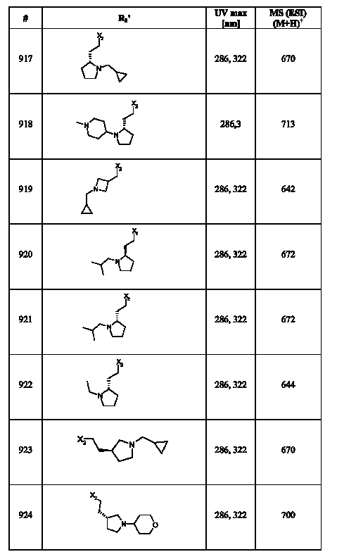 Figure 112007017455351-pct00248