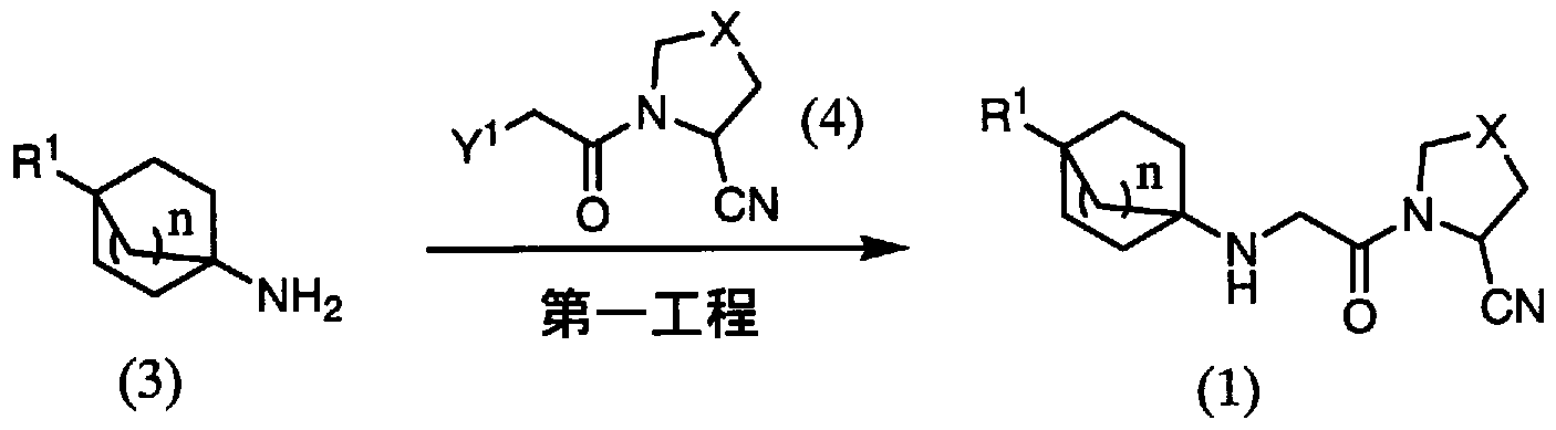 Figure imgf000011_0001