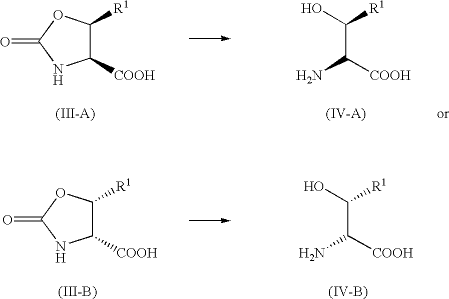 Figure US20030055264A1-20030320-C00023