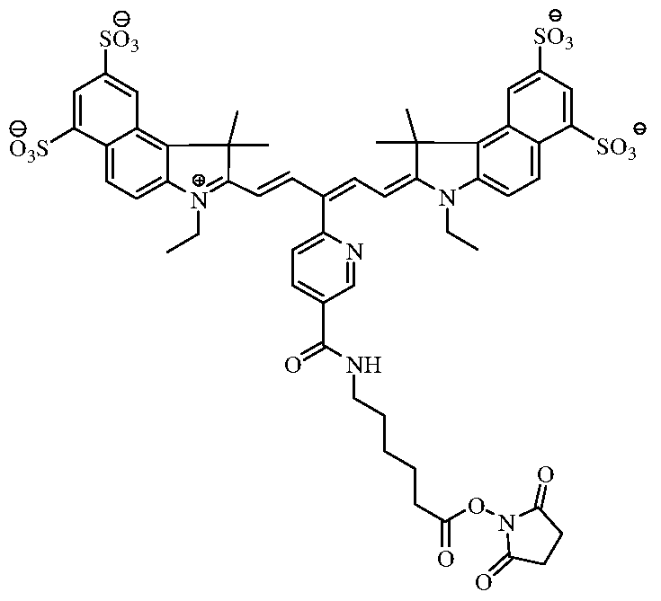 Figure imgf000013_0001