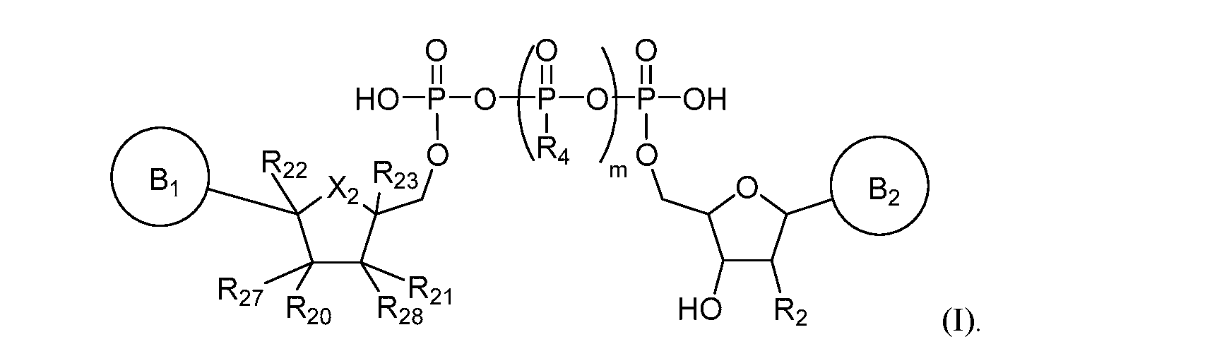 Figure imgf000004_0001