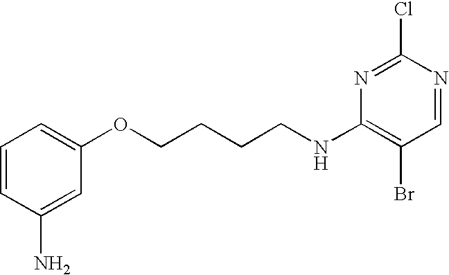 Figure US20040209895A1-20041021-C00055