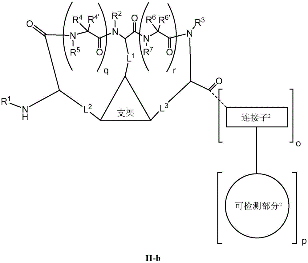 Figure BDA0002385583010000721