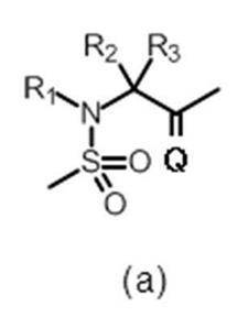 Figure JPOXMLDOC01-appb-C000125