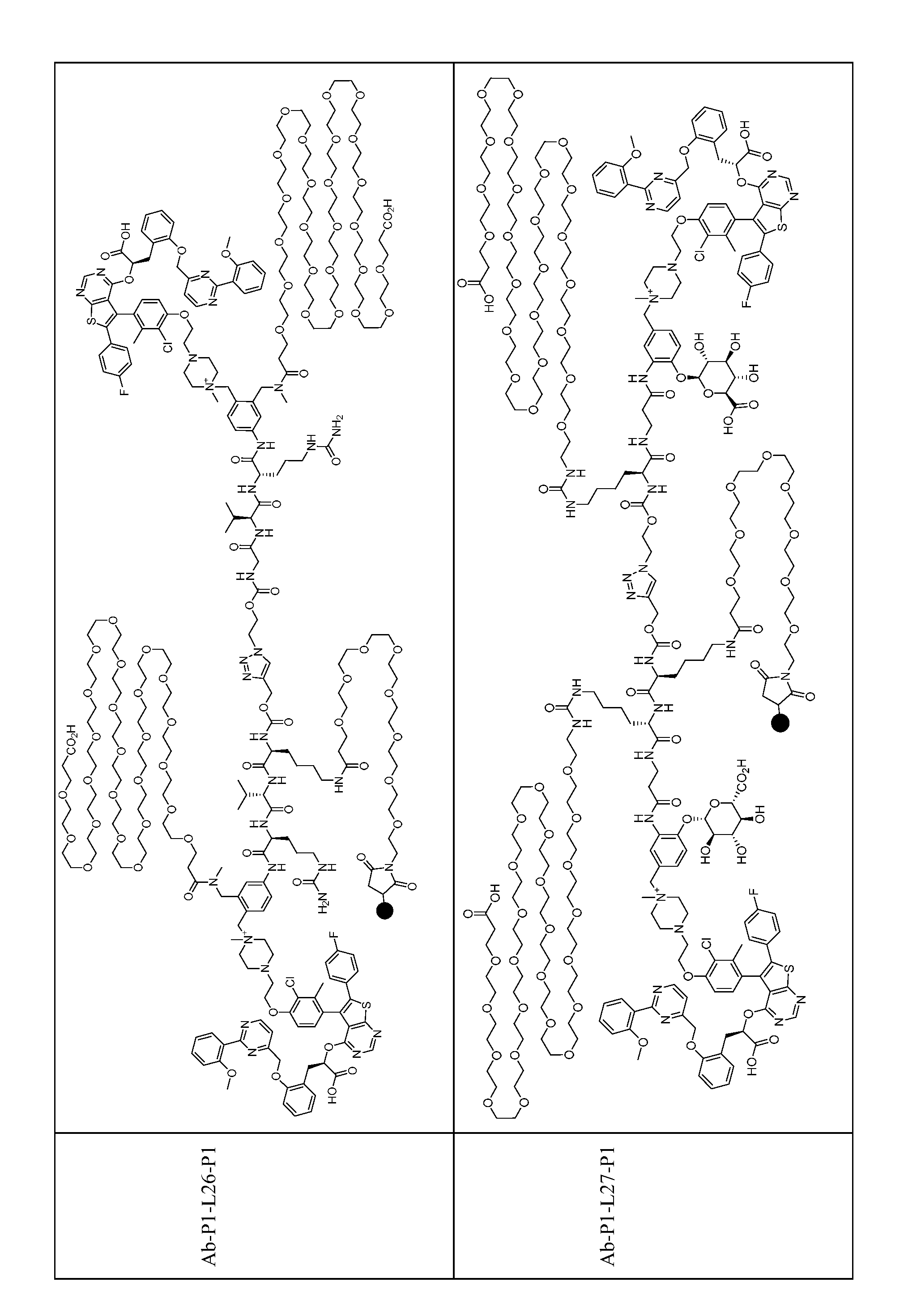 Figure imgf000176_0001