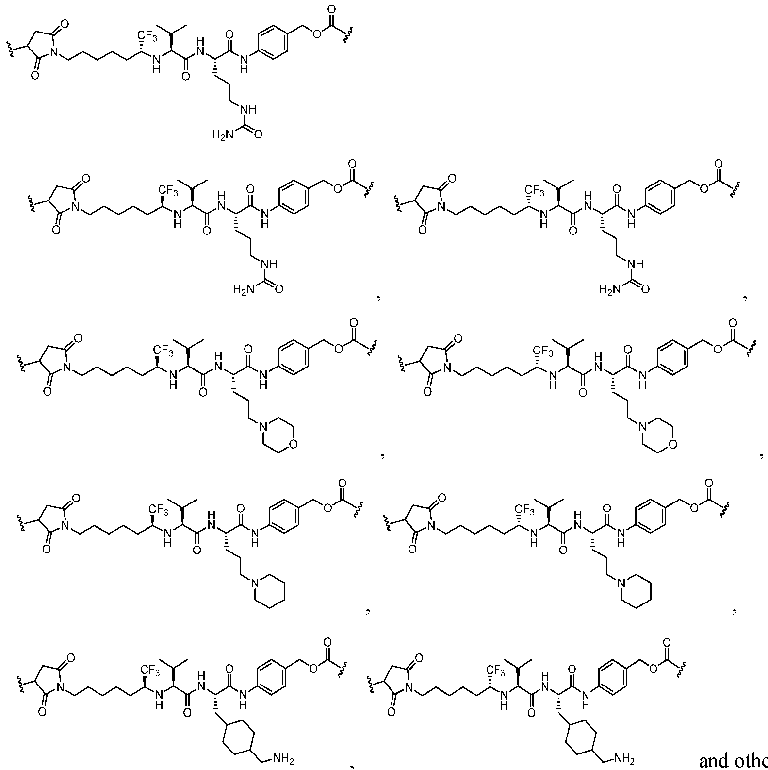 Figure imgf000009_0002