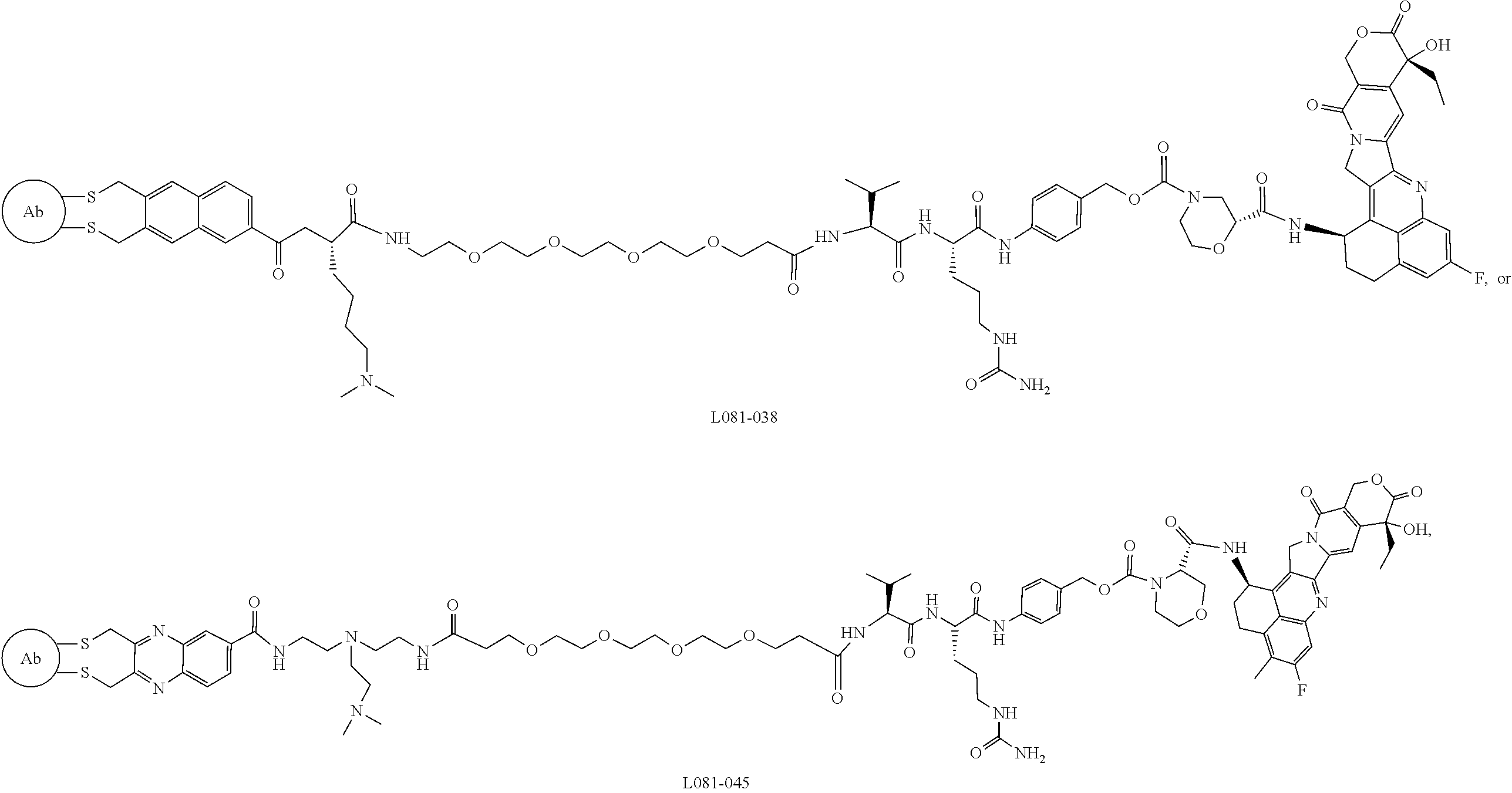 Figure US20250205350A1-20250626-C00322