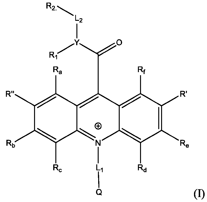 Figure imgf000258_0001