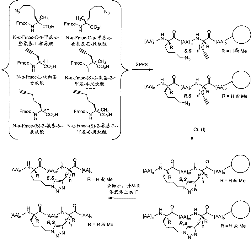 Figure BPA00001350912100451