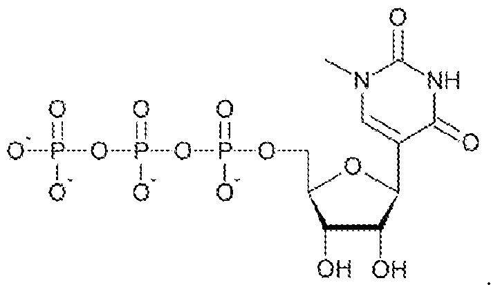 Figure imgf000147_0004