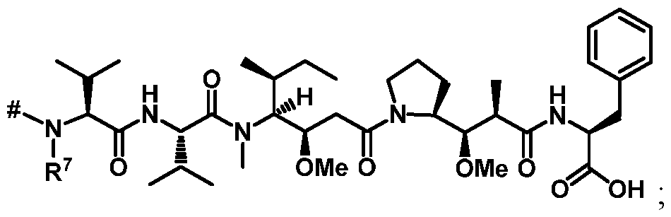 Figure imgf000175_0002