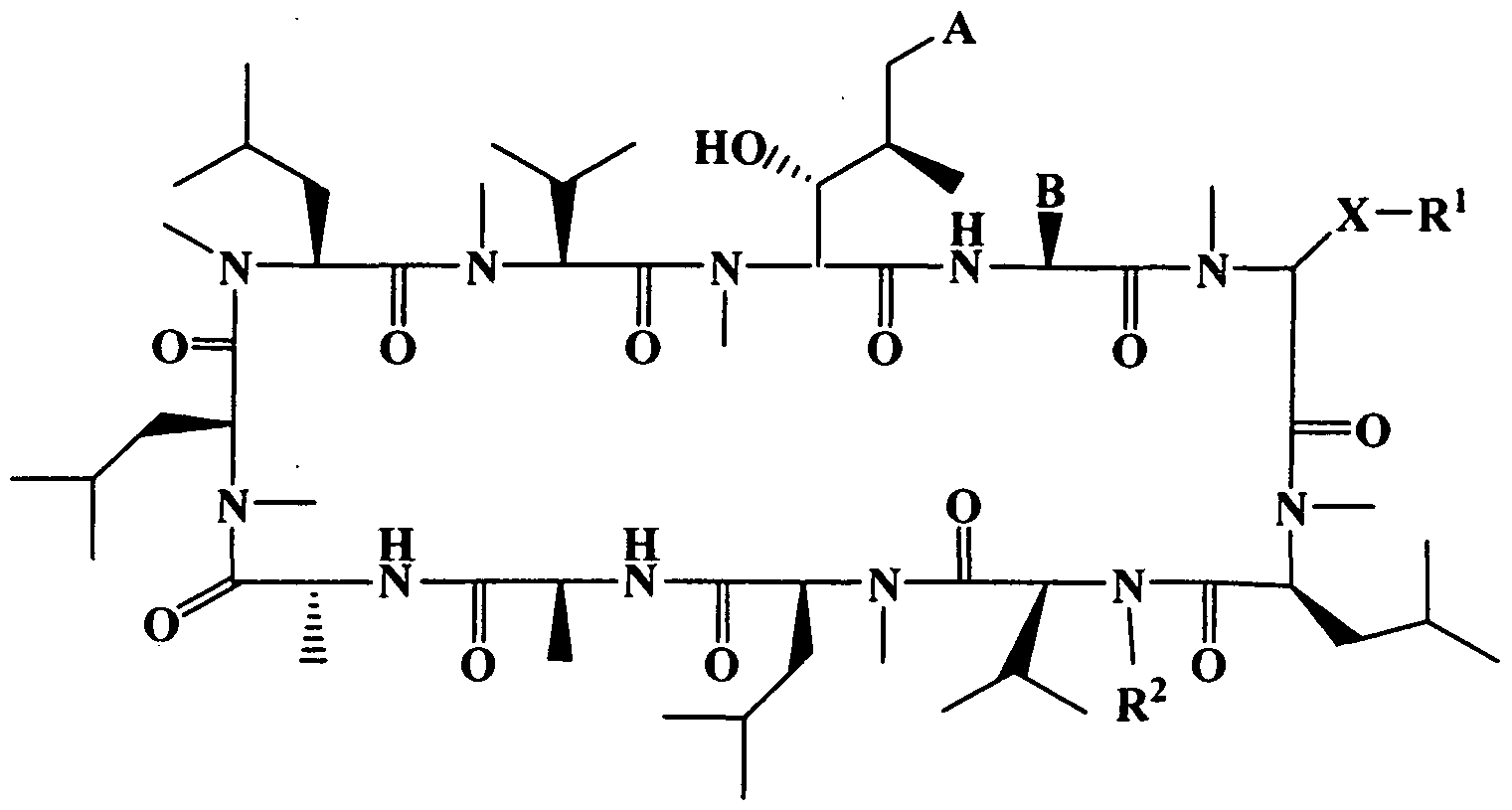 Figure imgf000004_0001
