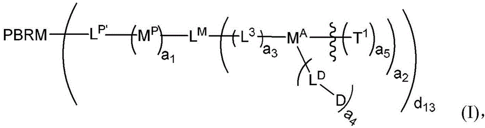 Figure FDA0003135424420000021