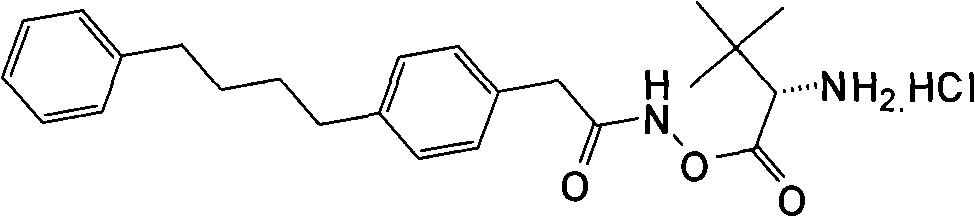 Figure G2007800515415D01292