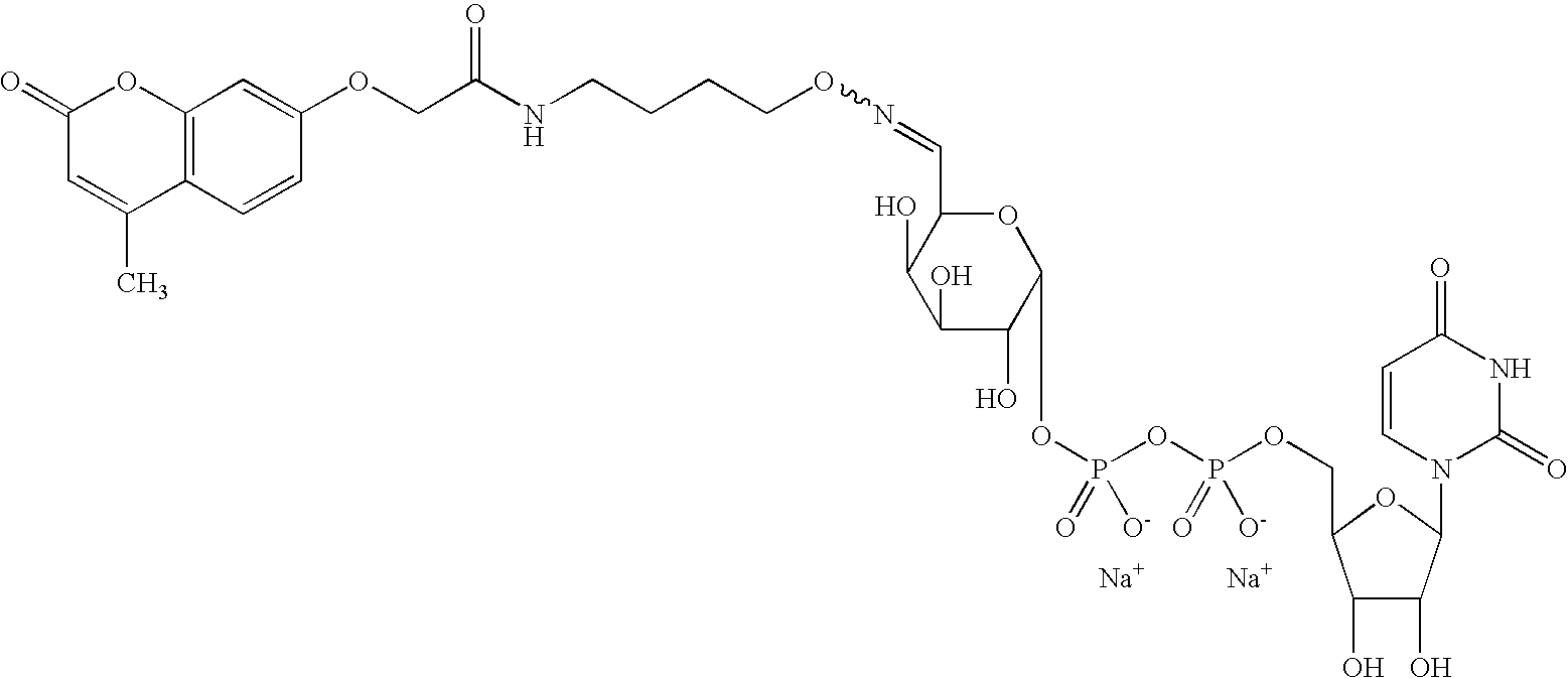 Figure US20080108557A1-20080508-C00032