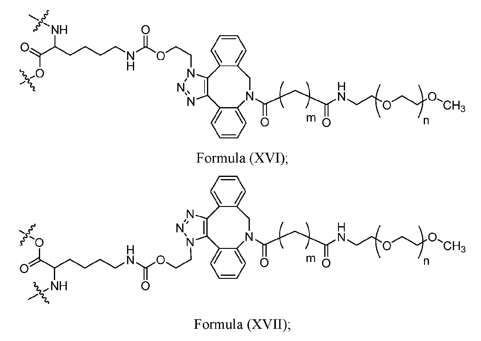 Figure imgf000028_0001