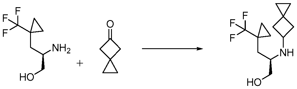 Figure imgf000455_0001