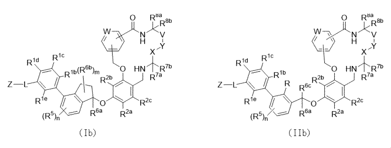 Figure 0007198269000008