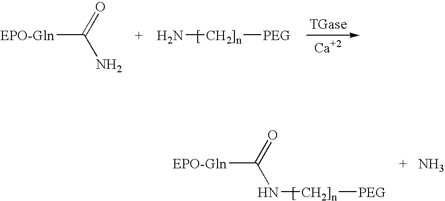 Figure US20060116322A1-20060601-C00005