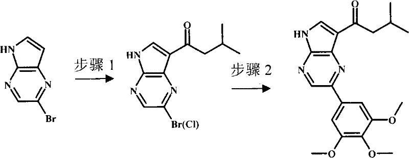 Figure BPA00001207418601191