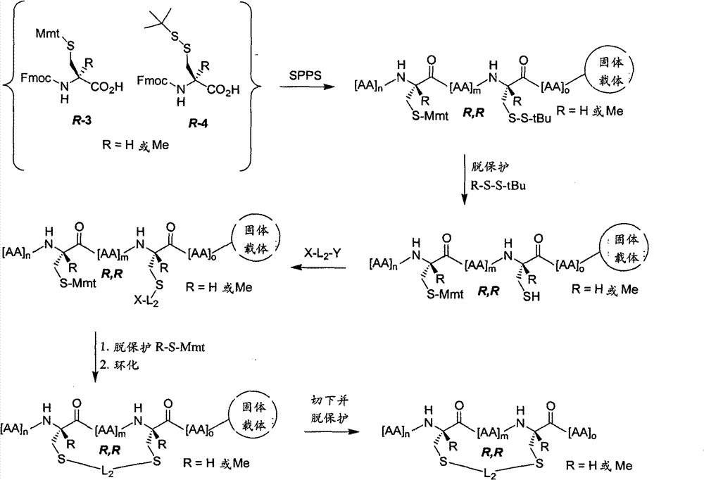 Figure BPA00001545839400501