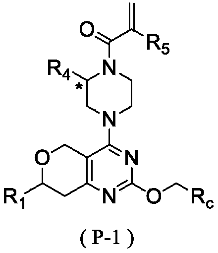 Figure PCTCN2021080278-appb-100013