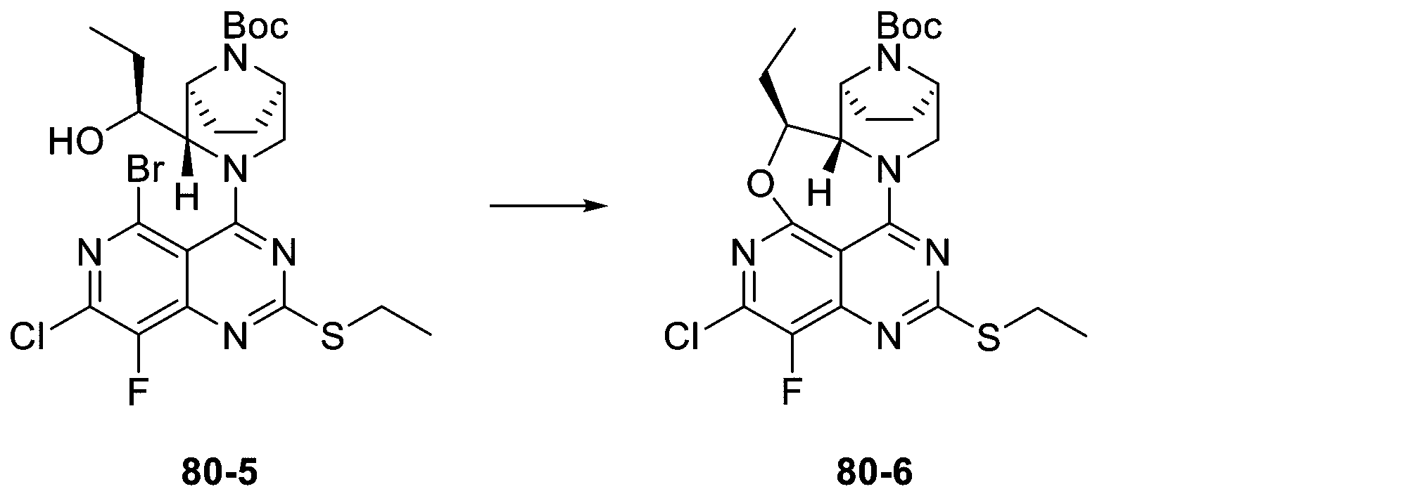 Figure 2025513258000307
