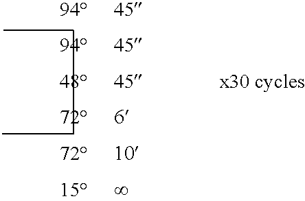 Figure US20030055220A1-20030320-C00001