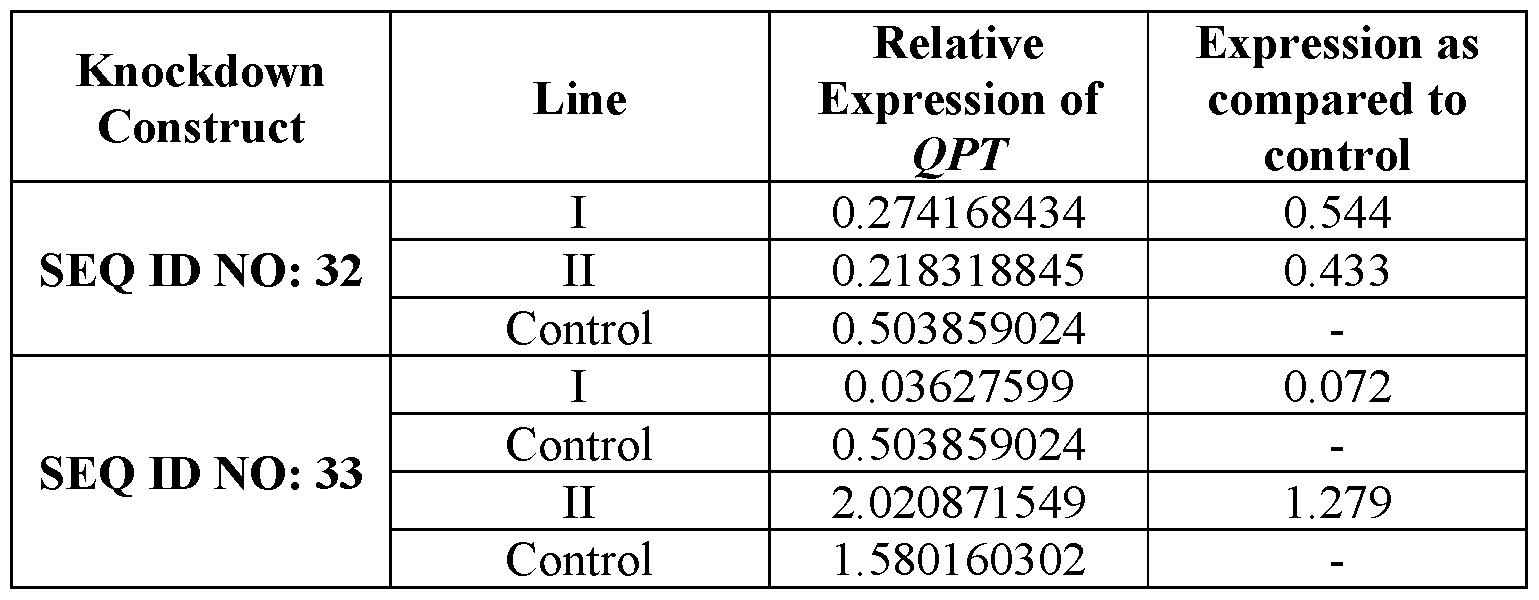 Figure imgf000144_0002