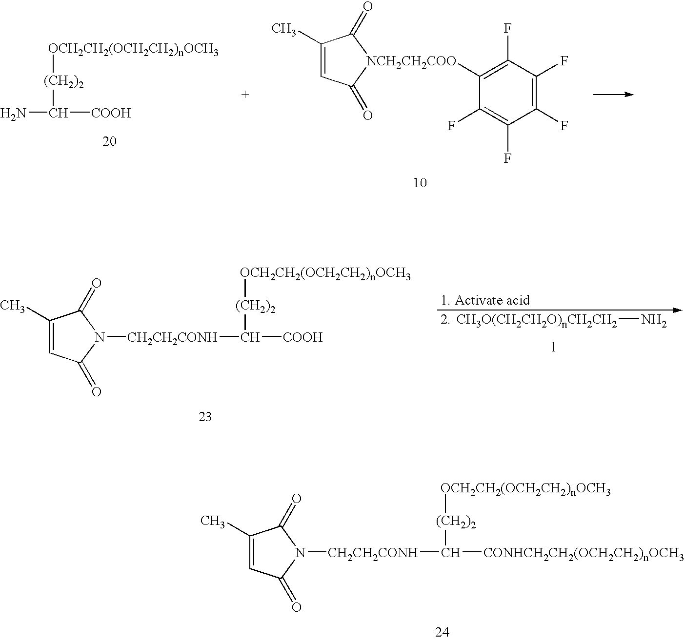 Figure US20070141021A1-20070621-C00035