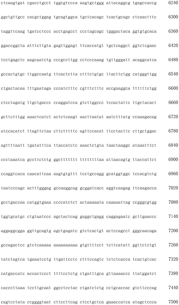 Figure IDA0003936212790001061