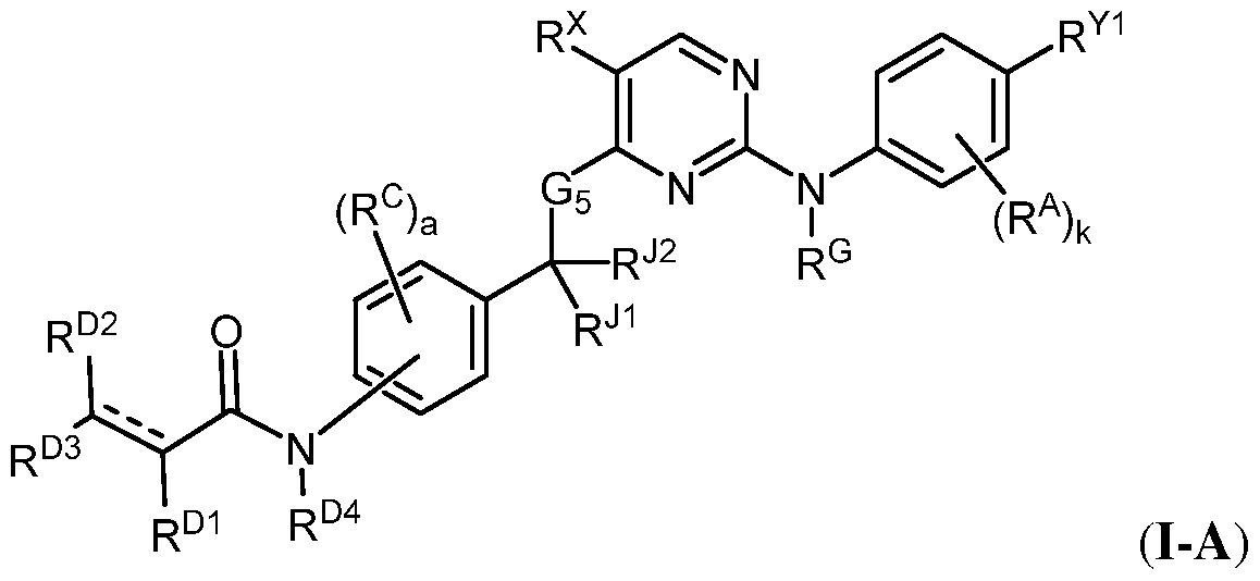 Figure imgf000003_0002