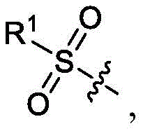 Figure FDA0002710254910000013